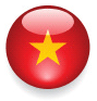 Visa to Vietnam, Vietnamese Visa Service